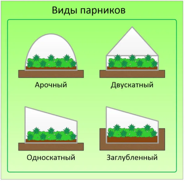 виды парников