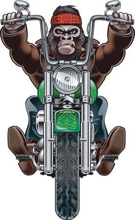 Monkey riding motorcycle