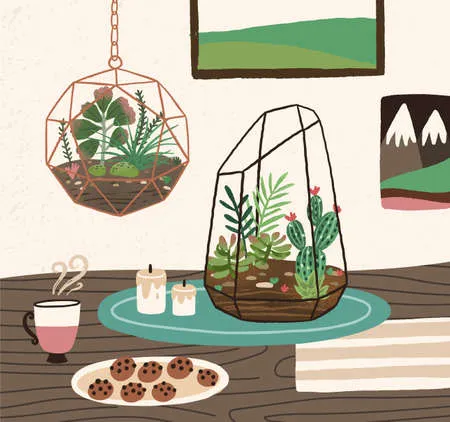 Interior of cozy room with succulents, cactuses and other desert plants growing in glass vivariums or florariums. natural home decorations in trendy scandic style. colorful vector illustration.