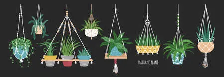 Collection of macrame hangers for potted plants. set of hanging planters made of rope, elegant handmade home decorations. isolated on black background. cartoon flat colorful vector illustration. Векторная Иллюстрация