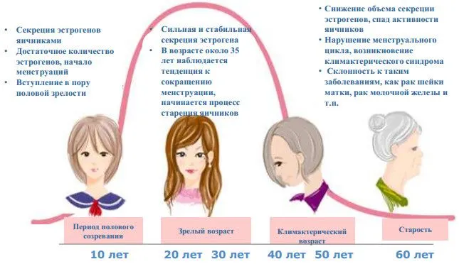 Изменение гормонального фона женщины при климаксе и в течение жизни