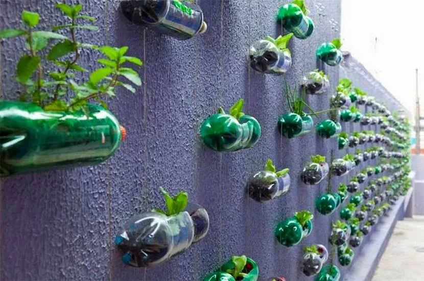 Вертикальные ширмы из пластиковых бутылок
