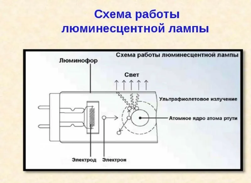 Принцип работы лампы люминесцентной