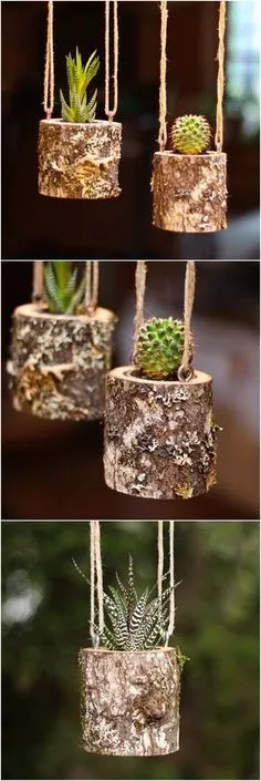 ИМИДЖ на ПИЖОН #флорариум Hanging Planters Indoor, Hanging Succulents, Succulents Garden, Indoor Plants, Succulent Planters, Hanging Plants, Succulent Arrangements, Diy Hanging, Indoor Herbs