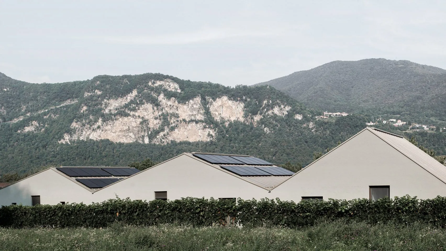 rancate-housing-stocker-lee-architecture-residential-switzerland_dezeen_hero-2-1704x959