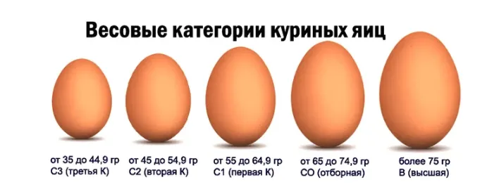 Категории яиц