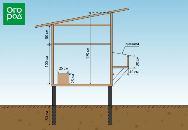 чертеж курятника