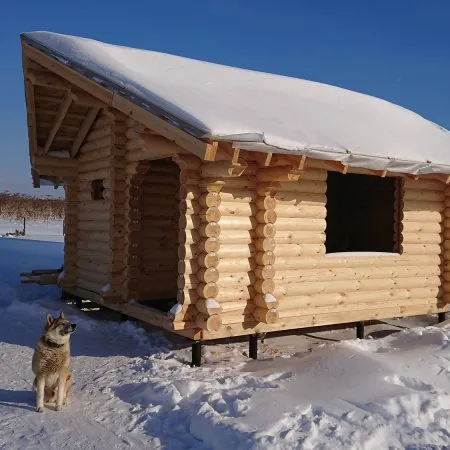 Баня из сухого бревна