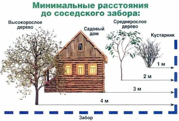 Ограждение в деревне