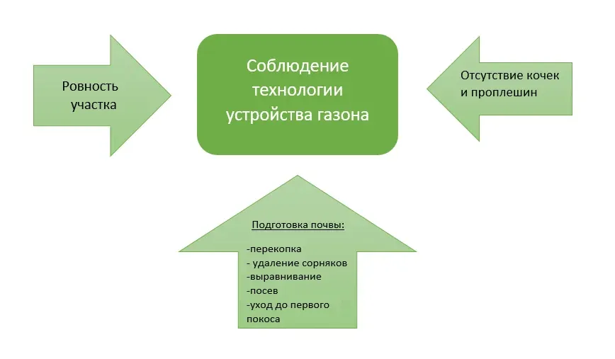 партерный газон для дачи