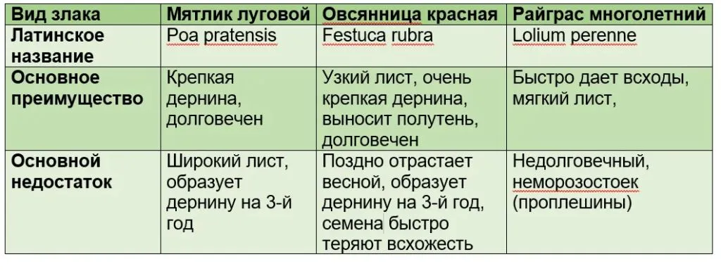 особенности партерного газона