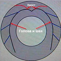 Выкройка клумбы-цветочницы из шины, стилизованной под лебедя